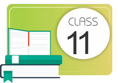 Academic-Class 11